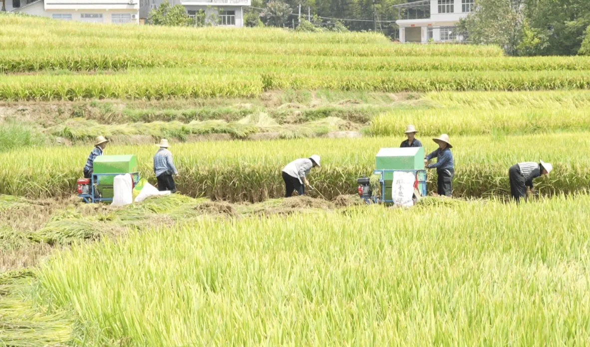 微信截图_20240930104655.png 微信截图_20240930104655.png