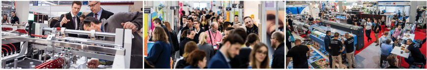 波兰2.png 波兰2.png