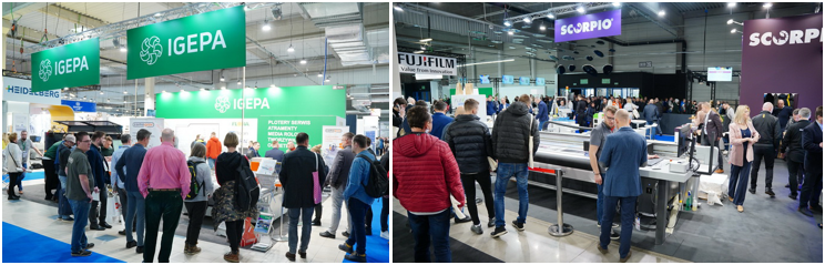 波兰3.png 波兰3.png