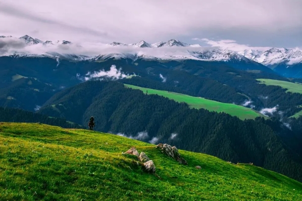 微信截图_20241129173938.png 微信截图_20241129173938.png