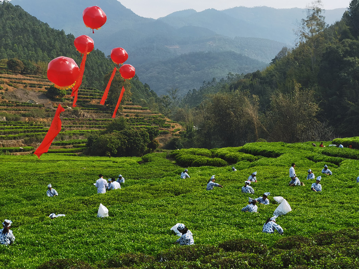 诏安单从.jpg 诏安单从.jpg